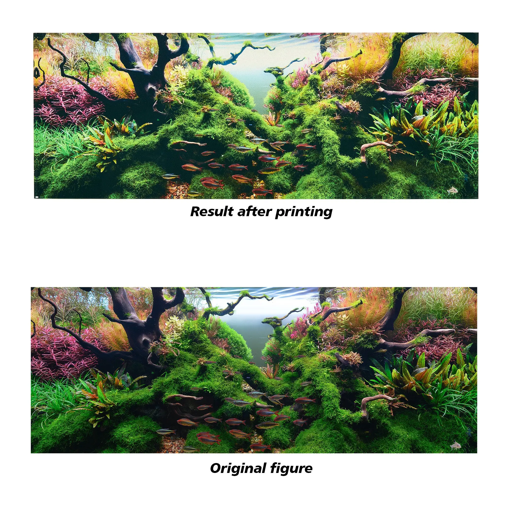 Chihiros Aquarium Acrylic UV Print POD – DISCONTINUED (FOR DISPLAY ONLY) - Image 3