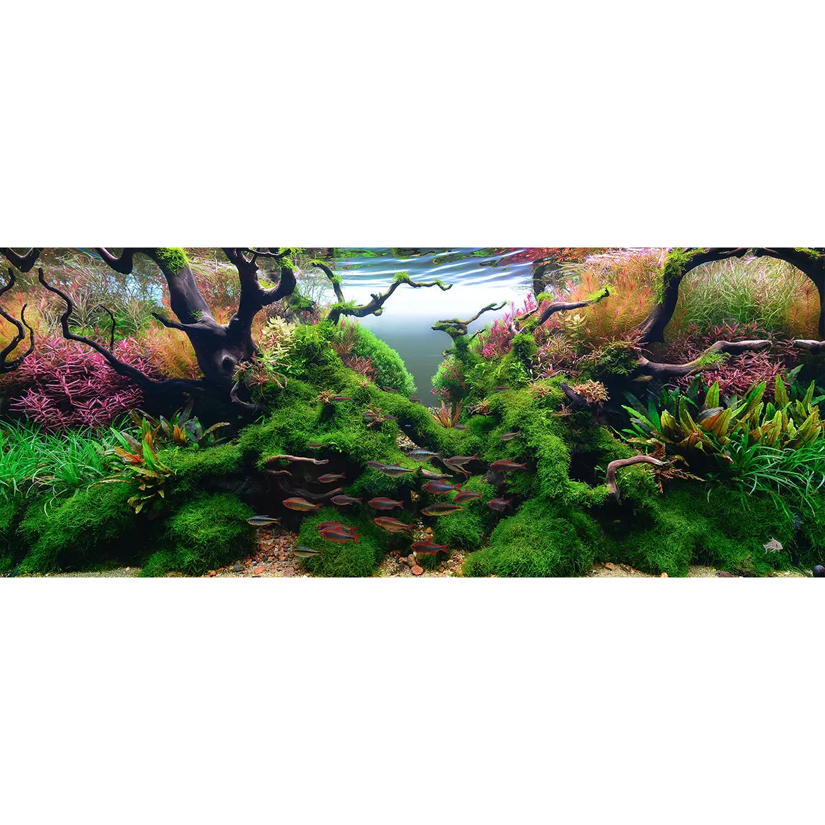 Chihiros Aquarium Acrylic UV Print POD – DISCONTINUED (FOR DISPLAY ONLY) - Image 8