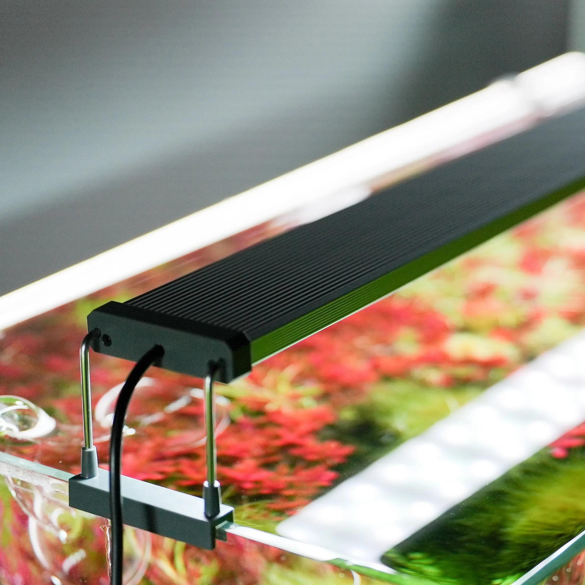 Chihiros B Series LED Light - Image 10