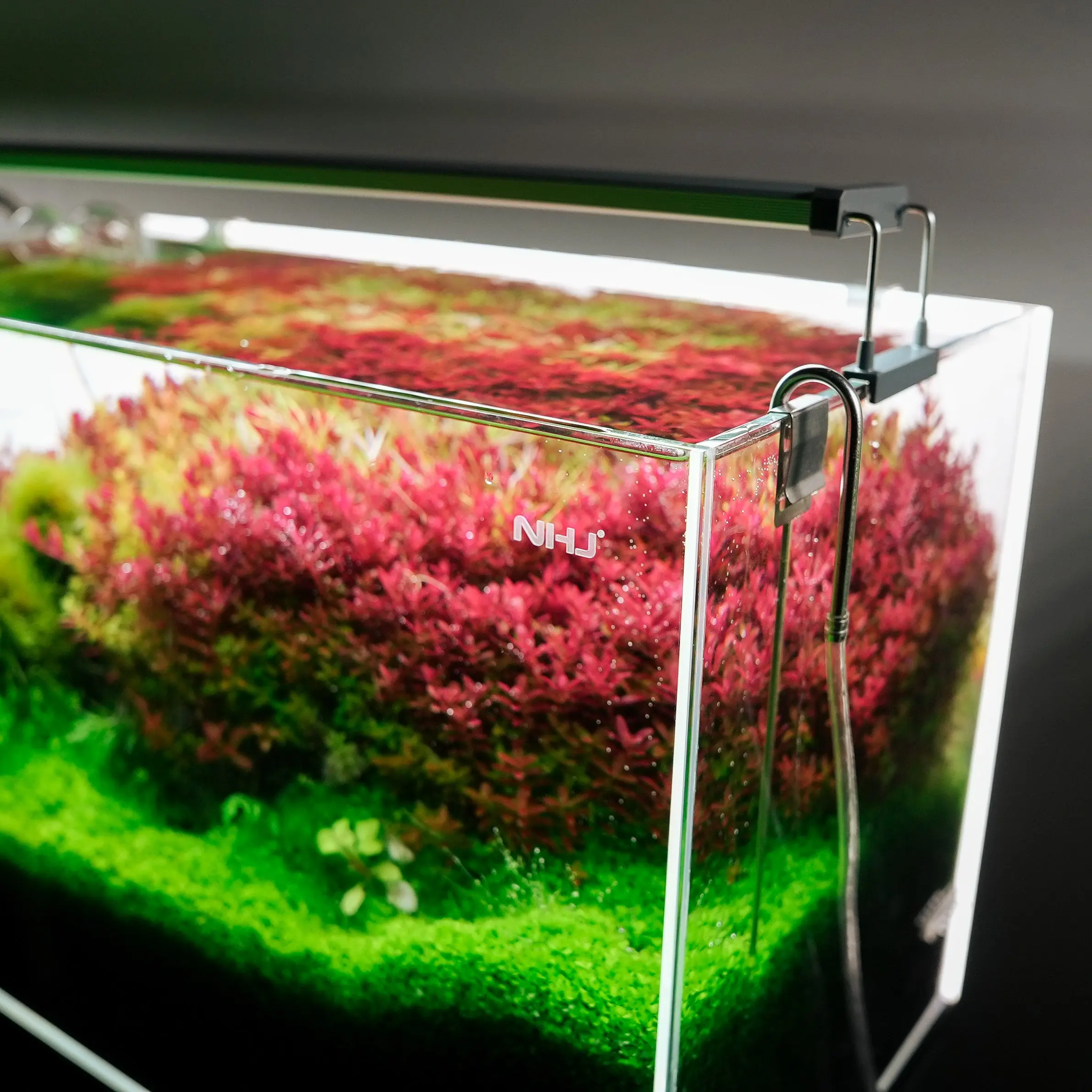 Chihiros B Series LED Light - Image 4