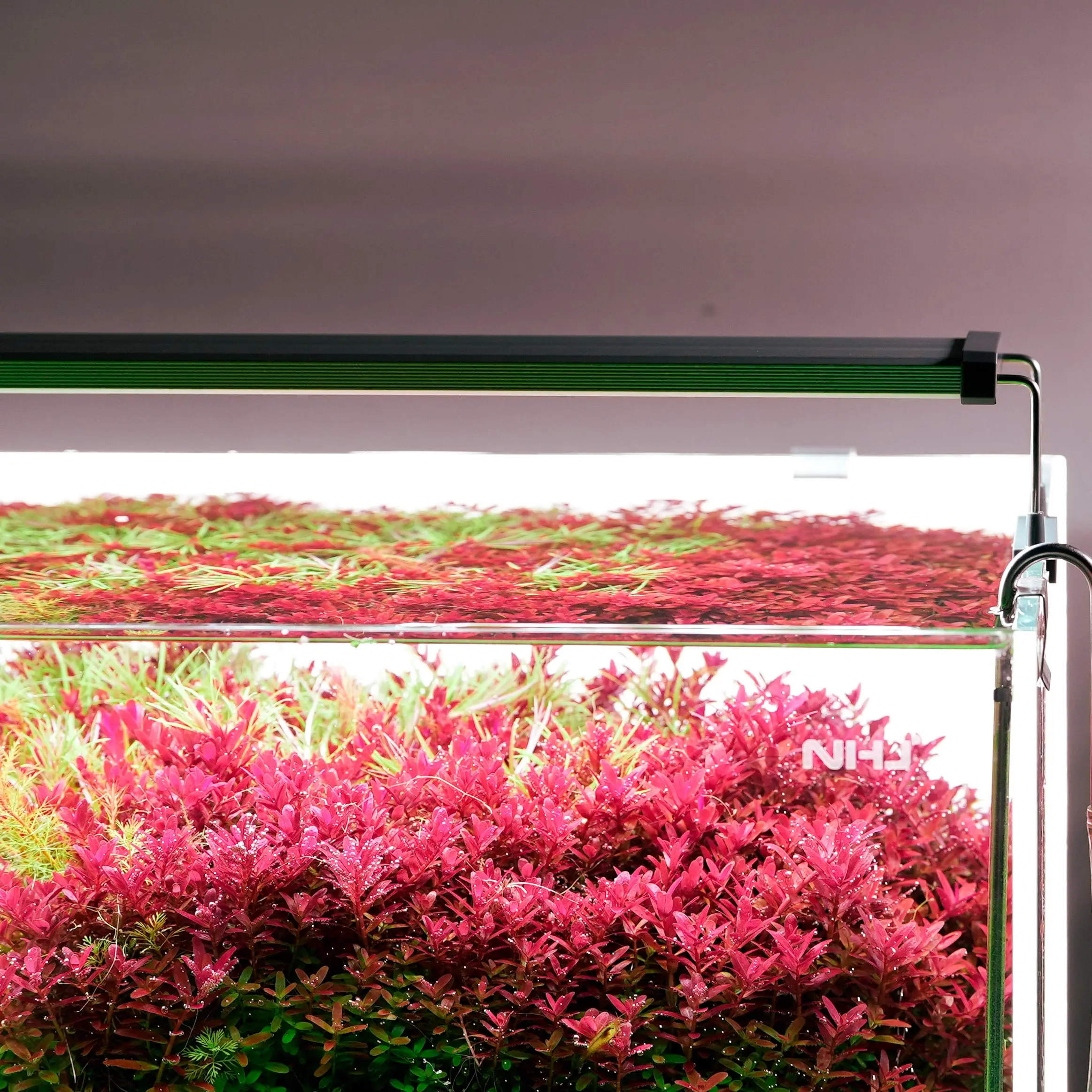 Chihiros B Series LED Light - Image 5