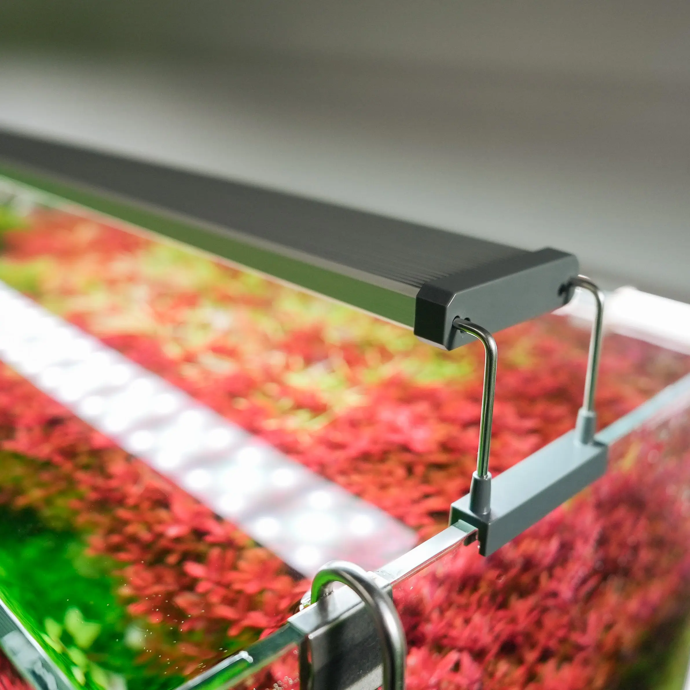 Chihiros B Series LED Light - Image 6