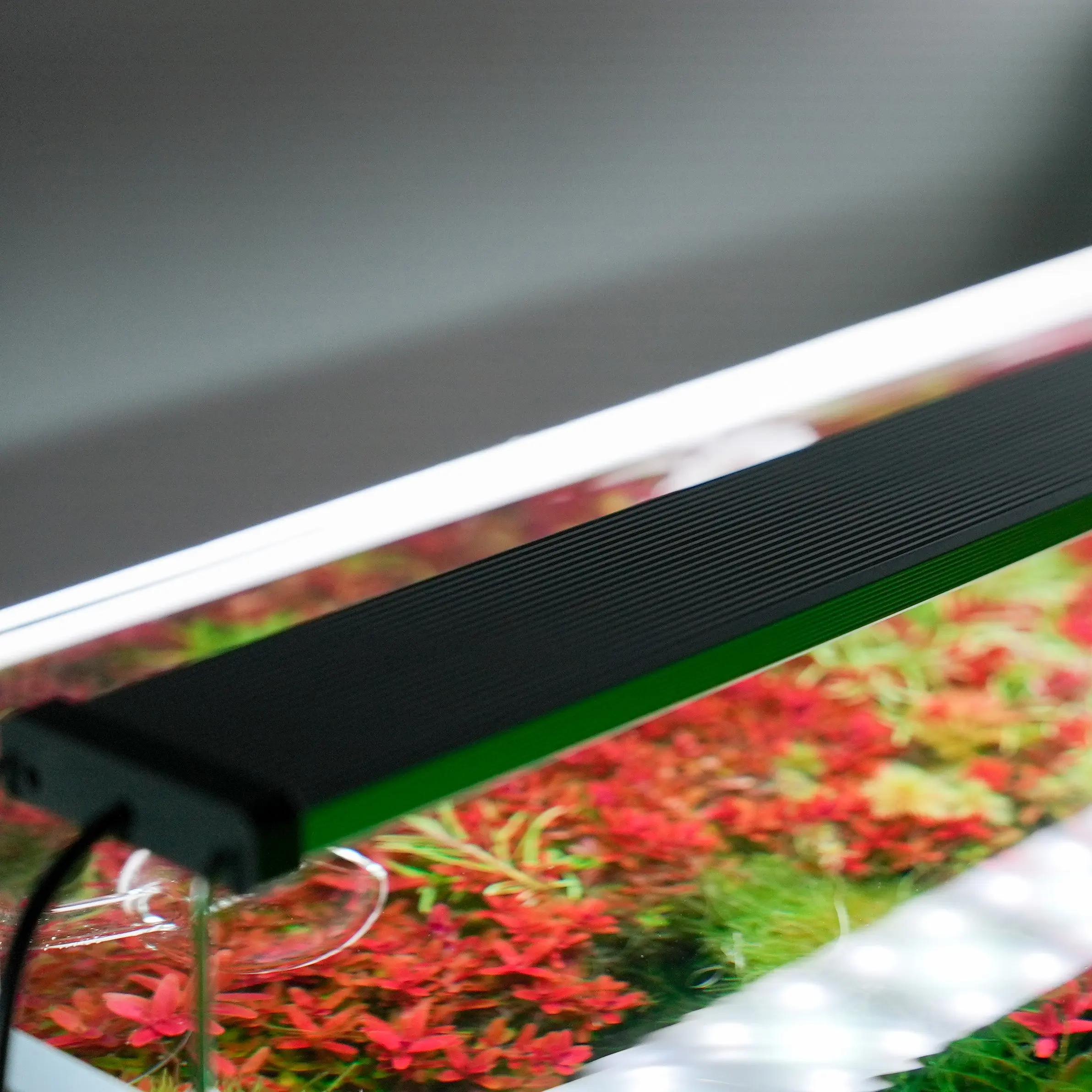 Chihiros B Series LED Light - Image 7