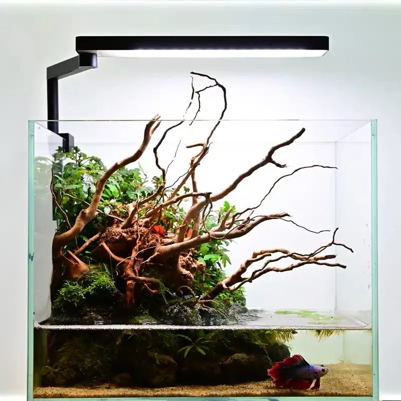 Chihiros C II LED Light - Image 4