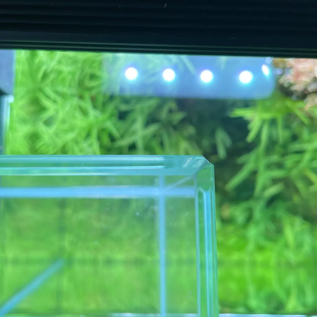 Chihiros Glass Air Aquarium Tank – DISCONTINUED (FOR DISPLAY ONLY) - Image 4