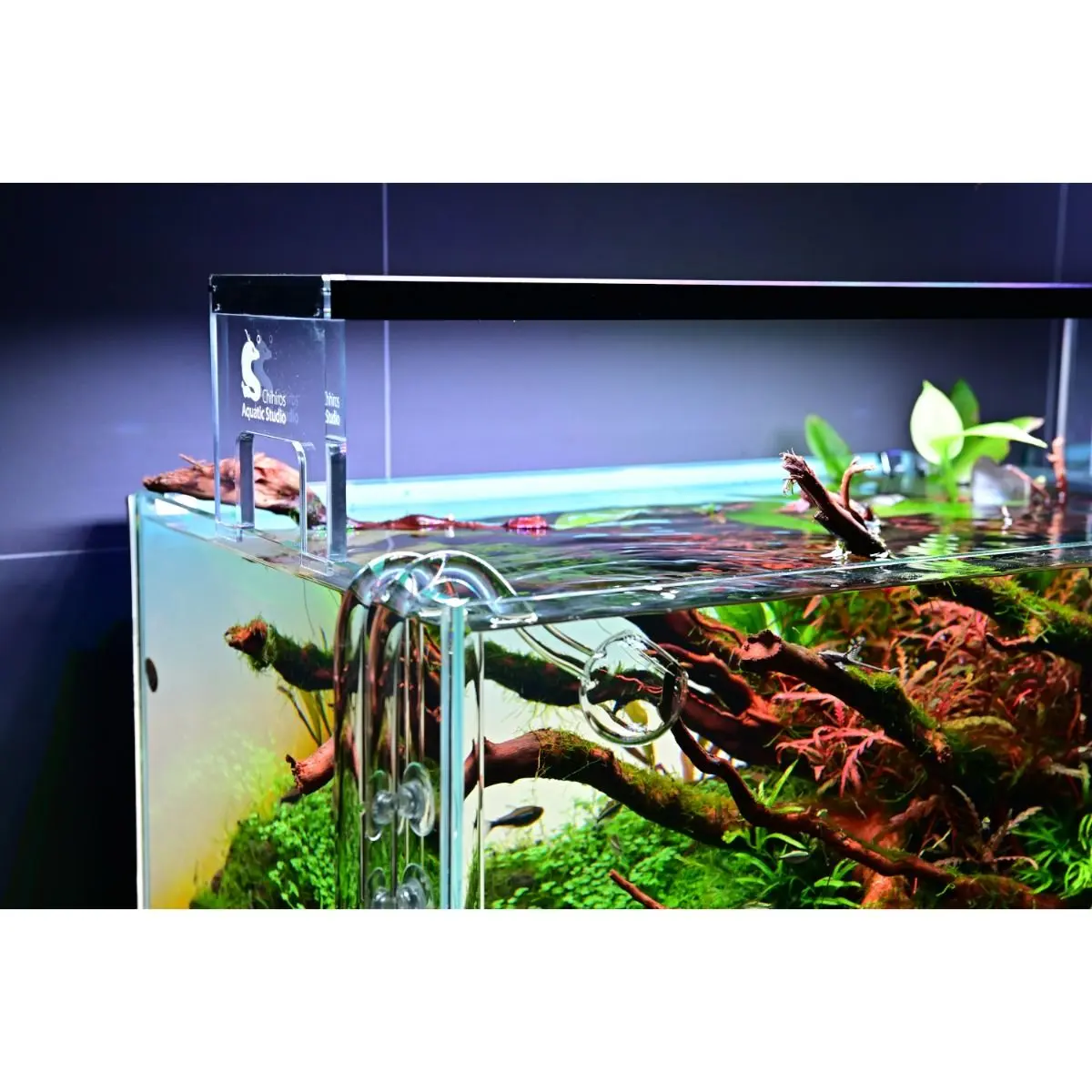 Chihiros WRGB II Acrylic Stand – DISCONTINUED (FOR DISPLAY ONLY) - Image 3