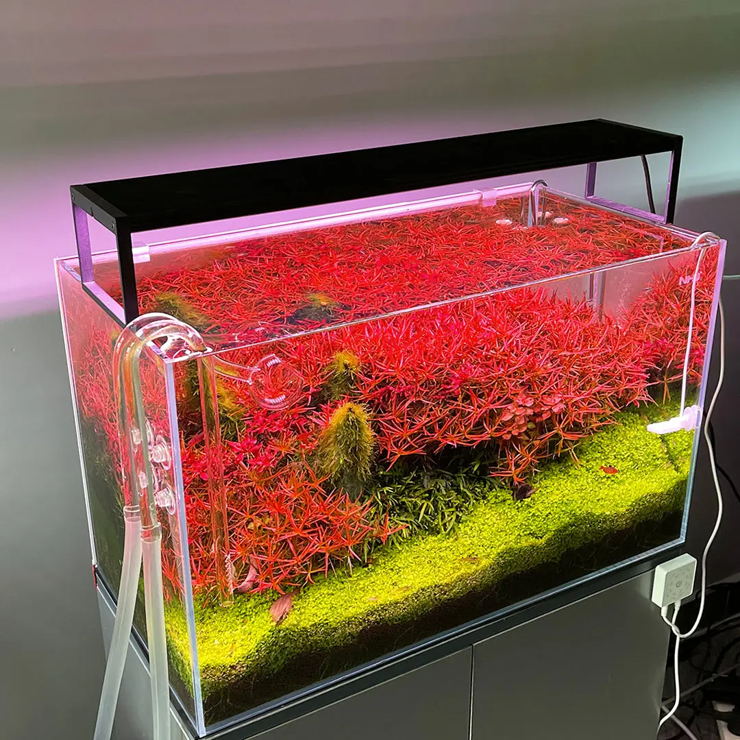 Chihiros WRGB II Slim LED Light - Image 7
